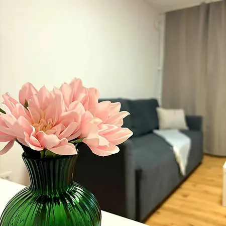 Up In Daire Bükreş